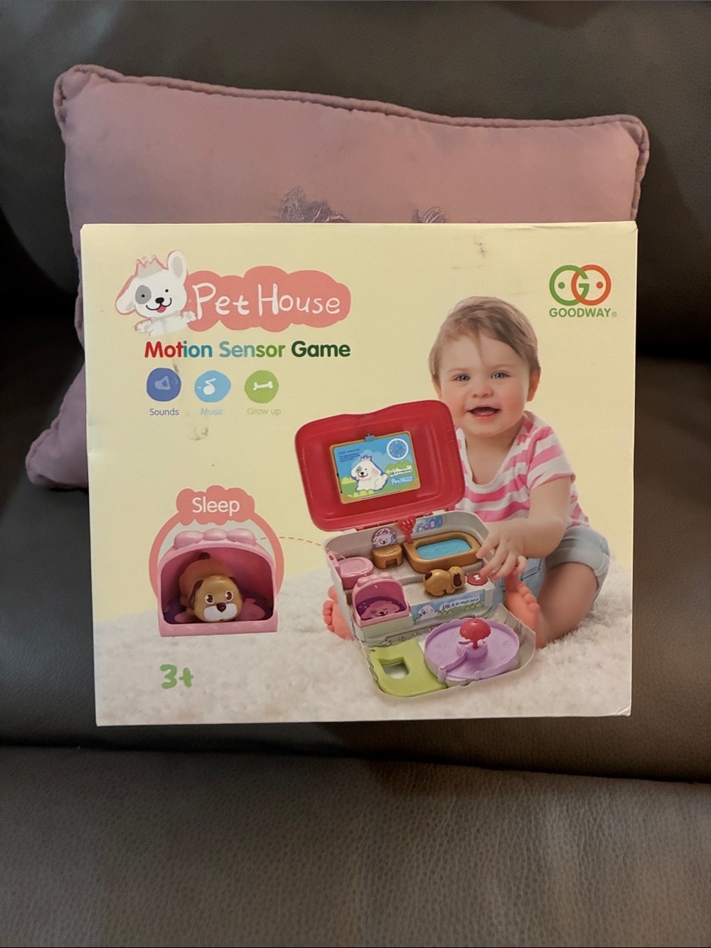 Pet House Motion Sensor Game Toy - Pink, Red, Green
